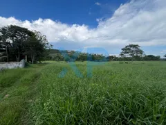 Fazenda / Sítio / Chácara com 3 Quartos à venda, 80m² no Zona Rural, São Sebastião do Oeste - Foto 13