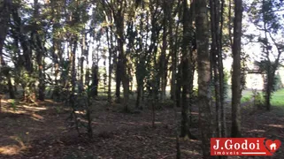 Fazenda / Sítio / Chácara com 3 Quartos à venda, 300m² no Area Rural de Sao Jose dos Pinhais, São José dos Pinhais - Foto 48