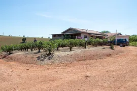 Fazenda / Sítio / Chácara com 2 Quartos à venda, 200m² no Zona Rural, Morungaba - Foto 13