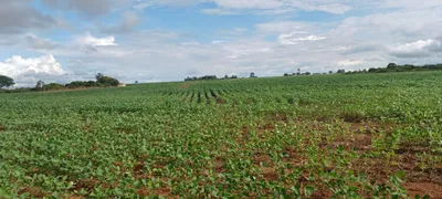 Fazenda / Sítio / Chácara com 2 Quartos à venda, 420000m² no Paranoá, Brasília - Foto 12