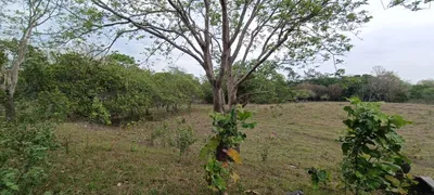 Fazenda / Sítio / Chácara com 4 Quartos à venda no Centro, Jangada - Foto 4