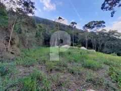 Terreno / Lote / Condomínio à venda, 2495m² no Itaipava, Petrópolis - Foto 4