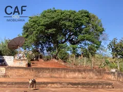 Fazenda / Sítio / Chácara com 4 Quartos à venda, 400m² no Zona Rural, Espírito Santo do Pinhal - Foto 38