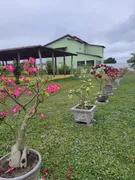 Fazenda / Sítio / Chácara com 4 Quartos à venda, 40000m² no Zona Rural, Monte Alegre - Foto 1