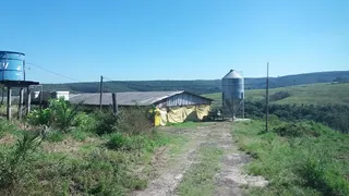 Fazenda / Sítio / Chácara à venda no Zona Rural, Anhembi - Foto 12