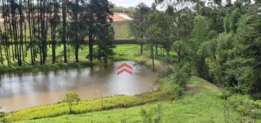 Terreno / Lote / Condomínio à venda, 243m² no Jardim São Luiz, Cotia - Foto 44