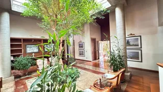 Casa com 4 Quartos para alugar, 698m² no Centro, Araraquara - Foto 3
