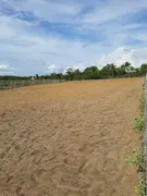 Fazenda / Sítio / Chácara com 3 Quartos à venda, 3000m² no Cana Brava, Macaíba - Foto 14