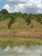 Casa de Condomínio com 2 Quartos à venda, 12546m² no Açu da Tôrre, Mata de São João - Foto 17