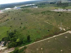 Fazenda / Sítio / Chácara com 3 Quartos à venda, 4700m² no Jatobá, Vitória da Conquista - Foto 9