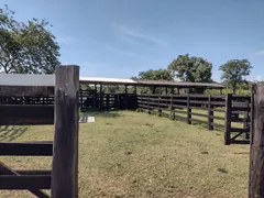 Fazenda / Sítio / Chácara à venda no Zona Rural, Rosário Oeste - Foto 20