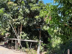 Fazenda / Sítio / Chácara com 2 Quartos à venda, 200m² no Marambaia, Caçapava - Foto 9