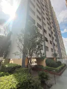 Apartamento com 2 Quartos à venda, 42m² no Cambuci, São Paulo - Foto 49