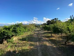 Fazenda / Sítio / Chácara com 1 Quarto à venda, 150000m² no Oliveiras, Tijucas - Foto 1