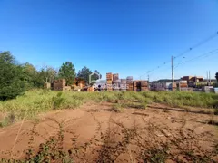 Terreno / Lote / Condomínio para alugar, 300m² no Boa Vista, São Leopoldo - Foto 4