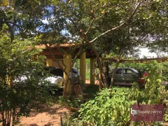 Fazenda / Sítio / Chácara com 4 Quartos à venda, 300m² no Zona Rural, São José do Rio Preto - Foto 5