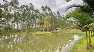 Fazenda / Sítio / Chácara com 2 Quartos à venda, 9800m² no Escalvado, Navegantes - Foto 19