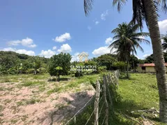 Fazenda / Sítio / Chácara com 3 Quartos à venda, 112000m² no Zona Rural, São José de Mipibu - Foto 2