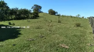 Terreno / Lote Comercial à venda, 484000m² no , Jandaia do Sul - Foto 2