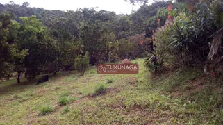 Fazenda / Sítio / Chácara com 3 Quartos à venda, 22000m² no Mogi das Cruzes, Mogi das Cruzes - Foto 9