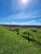 Terreno / Lote / Condomínio à venda, 1134000m² no Parque Miguelito, Aguaí - Foto 5