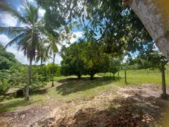 Fazenda / Sítio / Chácara com 3 Quartos à venda, 5000m² no Centro, São Cristóvão - Foto 7