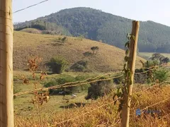 Fazenda / Sítio / Chácara à venda, 1390000m² no Taruacu, São João Nepomuceno - Foto 29
