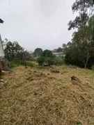 Terreno / Lote / Condomínio à venda, 540m² no São Tomé, Viamão - Foto 2