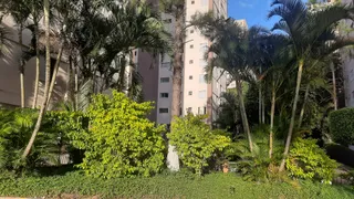 Apartamento com 2 Quartos à venda, 50m² no Pedra Branca, São Paulo - Foto 3