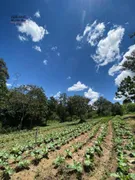 Fazenda / Sítio / Chácara com 3 Quartos à venda, 144000m² no Area Rural de Amparo, Amparo - Foto 1