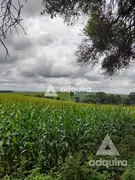 Fazenda / Sítio / Chácara com 1 Quarto à venda, 10m² no Zona Rural, Imbituva - Foto 8