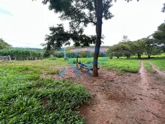 Fazenda / Sítio / Chácara com 3 Quartos à venda, 80m² no Zona Rural, São Sebastião do Oeste - Foto 17