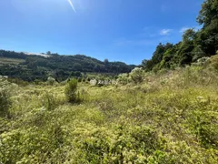 Terreno / Lote / Condomínio à venda, 20000m² no Faria Lemos, Bento Gonçalves - Foto 35