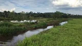 Fazenda / Sítio / Chácara com 3 Quartos à venda, 34000m² no Nova Uberlandia, Uberlândia - Foto 5