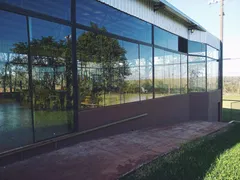 Fazenda / Sítio / Chácara com 4 Quartos à venda, 6000m² no Zona Rural, Santa Terezinha de Itaipu - Foto 8