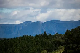 Terreno / Lote / Condomínio à venda, 240000m² no Rio do Ouro, Anitápolis - Foto 45