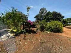 Fazenda / Sítio / Chácara com 3 Quartos à venda, 25000m² no Setor Central, Bonfinópolis - Foto 3