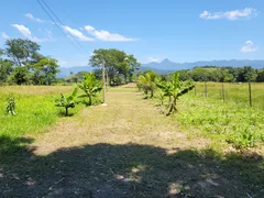 Fazenda / Sítio / Chácara com 2 Quartos à venda, 39000m² no Parque Duque de Caxias, Duque de Caxias - Foto 7