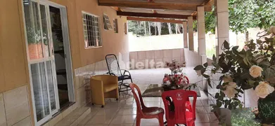 Fazenda / Sítio / Chácara com 3 Quartos à venda, 300m² no Panorama, Uberlândia - Foto 8