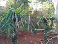 Fazenda / Sítio / Chácara à venda, 1500m² no Zona Rural, Jataizinho - Foto 27