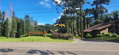 Terreno / Lote / Condomínio à venda, 2358m² no Floresta, Gramado - Foto 8