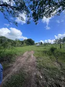 Fazenda / Sítio / Chácara com 2 Quartos à venda, 50m² no Zona Rural, Pelotas - Foto 5