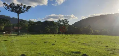 Fazenda / Sítio / Chácara com 4 Quartos à venda, 240000m² no Vale das Colinas, Gramado - Foto 2