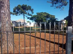 Terreno / Lote / Condomínio à venda, 2608m² no Santa Felicidade, Curitiba - Foto 5