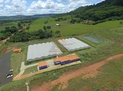 Fazenda / Sítio / Chácara com 5 Quartos à venda, 130000m² no , São Simão - Foto 1