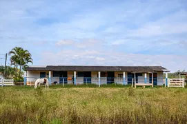 Fazenda / Sítio / Chácara com 3 Quartos à venda, 300m² no Zona Rural, Luziânia - Foto 32