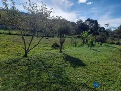 Fazenda / Sítio / Chácara com 2 Quartos à venda, 2000m² no São Carlos, Pouso Alegre - Foto 4