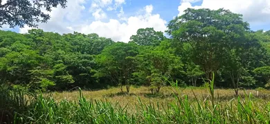 Terreno / Lote / Condomínio à venda, 20000m² no Centro, Matozinhos - Foto 6