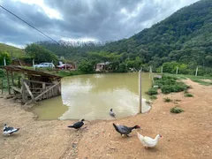 Fazenda / Sítio / Chácara à venda, 9000m² no Limeira, Brusque - Foto 4