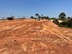 Terreno / Lote / Condomínio para alugar, 20000m² no , Igarapé - Foto 24